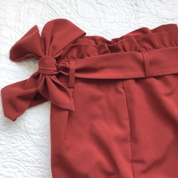 PAPERBAG PANTS IN RUST - Picture 6 of 9